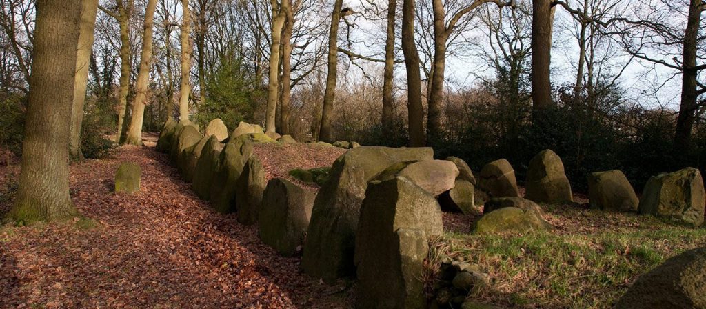 Hunebed D43 op de Emmer Schimmeres