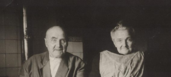 Finke-versmald-beeld-1-568×257