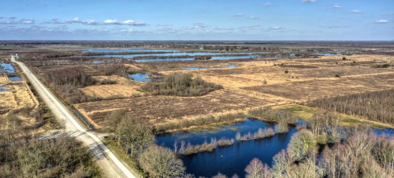 Laardijk-5-568×257