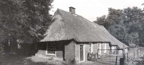 MZ11004040122-568×257