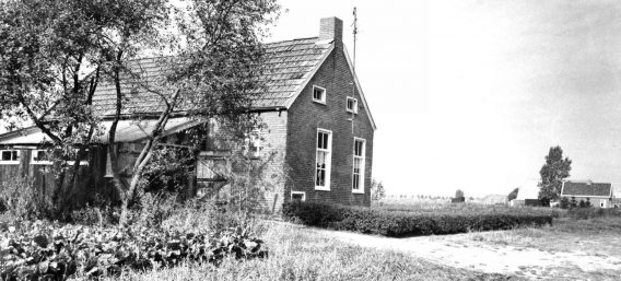 MZ11005080401-568×257