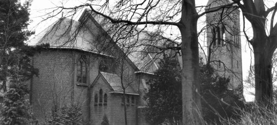 MZ11008050409-568×257