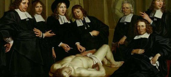 anatomische-les-568×257