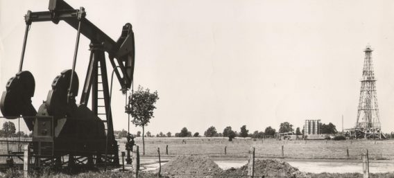 jaknikker-Schoonebeek-568×257